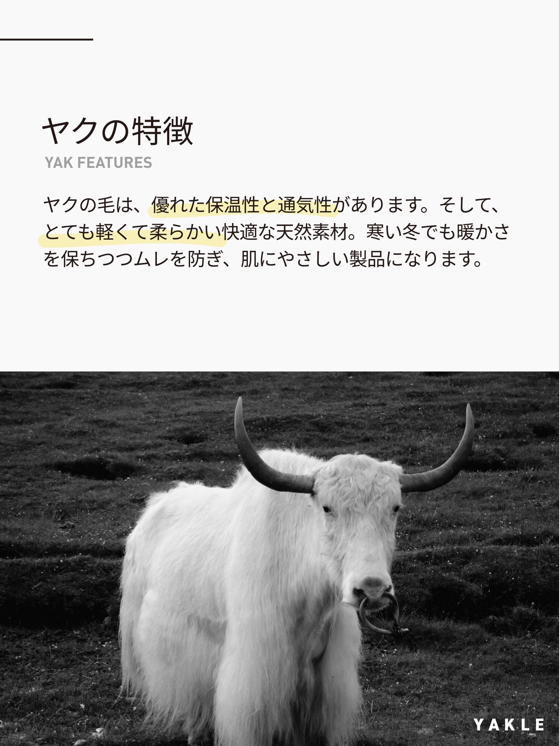 ヤク100％ ジョガーパンツレギンス 10分丈（メンズ・レディース